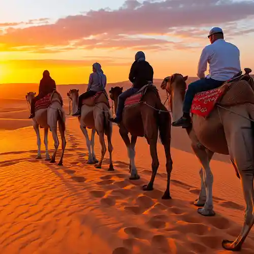 Camel Trek Merzouga Sahara